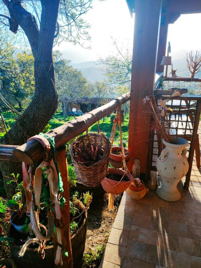 Room In Casa Castiglia A Woodhouse With Beautiful View Close Madonie Park Castelbuono  Exterior photo